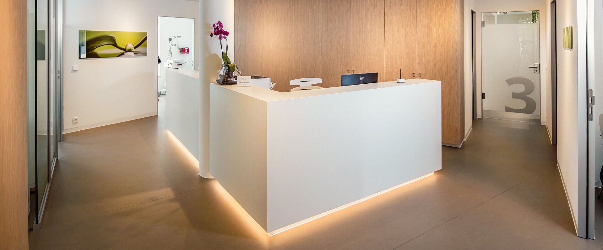 Bilck in den Wartebereich einer Praxis mit grünen und hölzernen Stühlen und einer Fototapete mit Birken